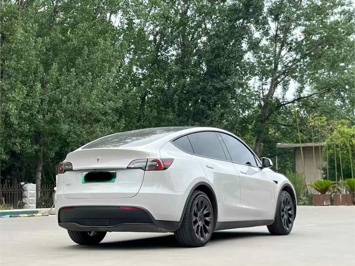特斯拉 Model Y  2022款 Performance高性能全輪驅(qū)動(dòng)版圖片