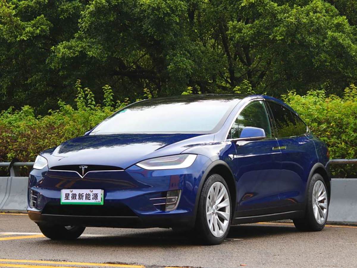 特斯拉 Model X  2019款 長續(xù)航版圖片