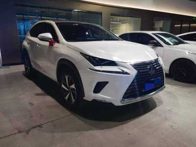 2019年12月 雷克萨斯 NX 300h 全驱 锋致版 国VI图片