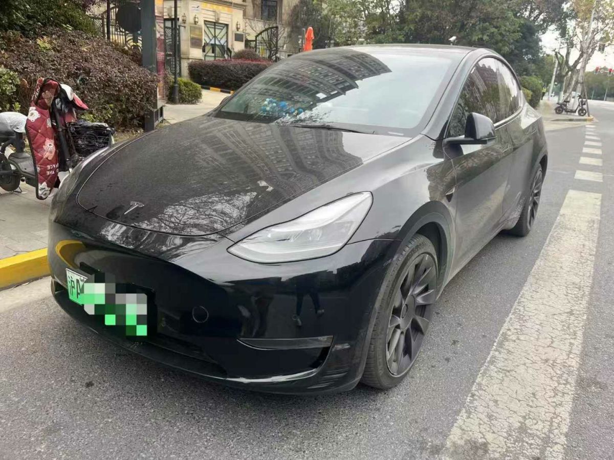 特斯拉 Model Y  2021款 標(biāo)準(zhǔn)續(xù)航后驅(qū)版圖片