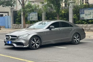 奔馳CLS級(jí) 奔馳 CLS 300 CGI