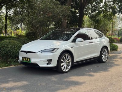 2017年1月 特斯拉 Model X Model X 90D圖片