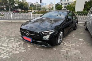 奔驰CLS级 奔驰 CLS 300 动感型