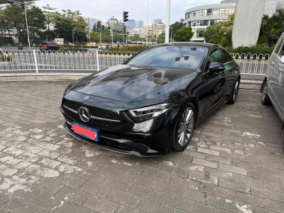 2022年4月 奔馳 奔馳CLS級(進口) CLS 300 動感型圖片