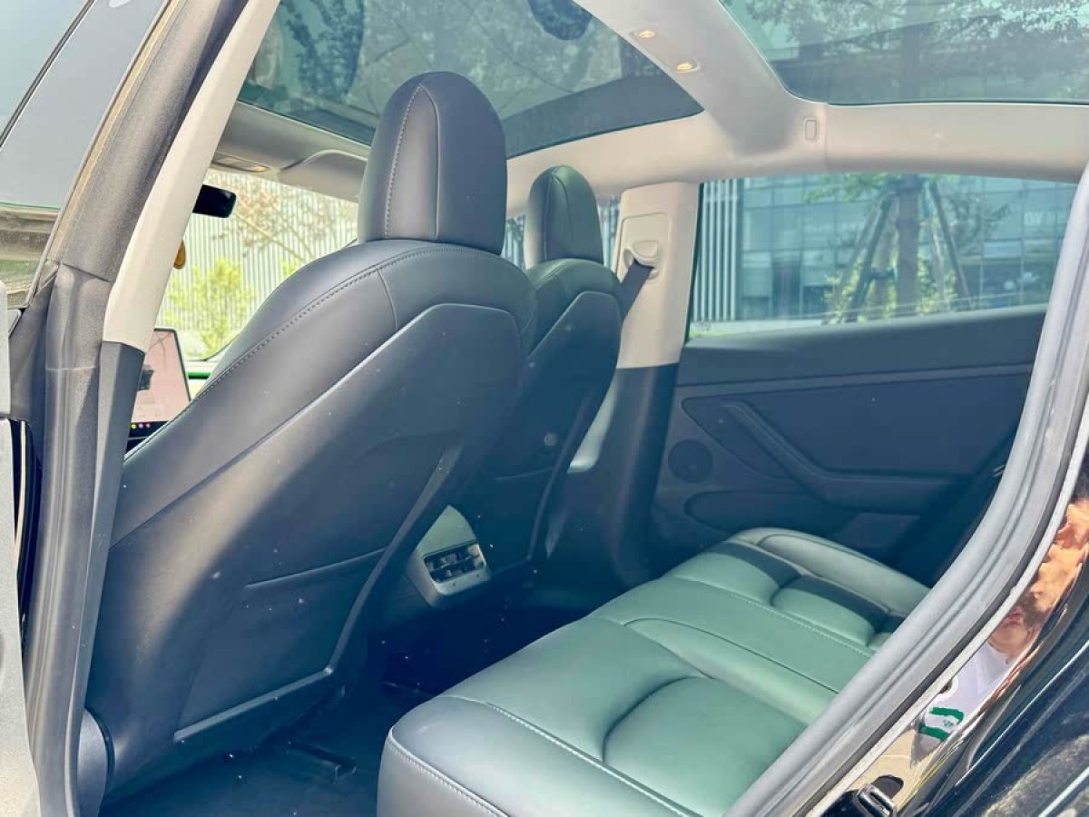 特斯拉 Model 3  2022款 后輪驅(qū)動版圖片
