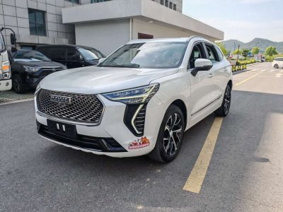 2021年7月 哈弗 哈弗初戀 1.5T 自動(dòng)大三版圖片