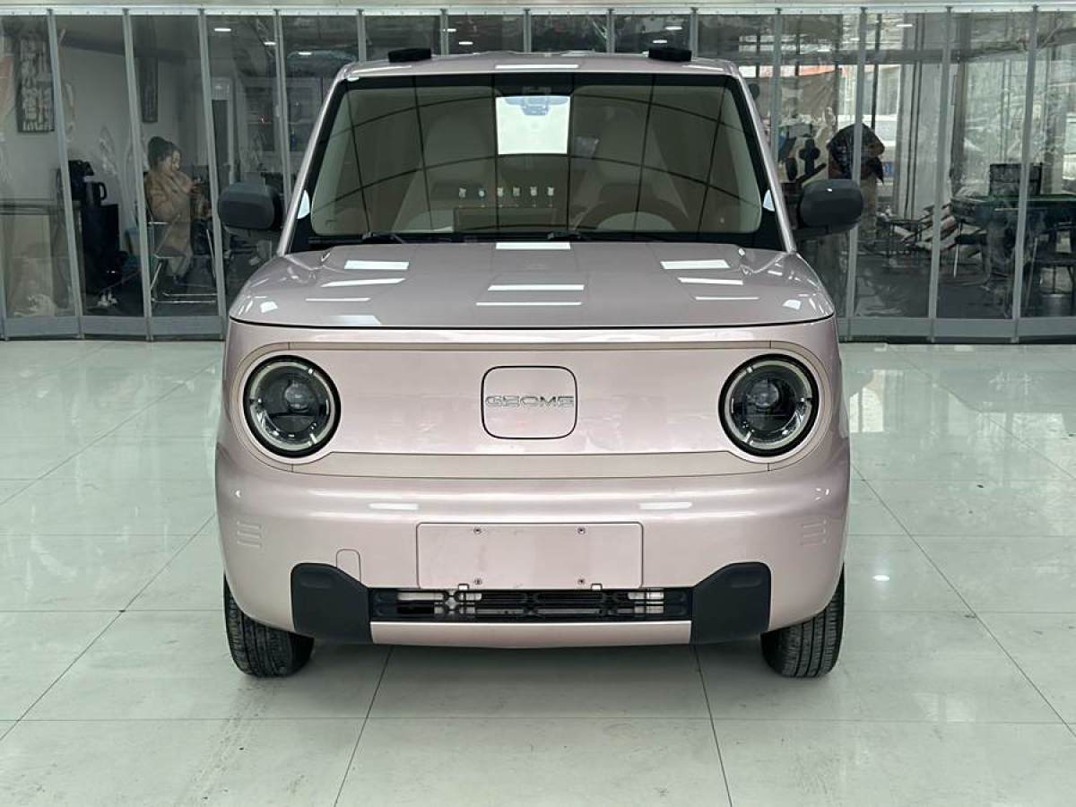 2023年7月吉利 熊貓mini  2023款 200km 靈動(dòng)熊