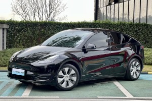 Model Y 特斯拉 標(biāo)準(zhǔn)續(xù)航后驅(qū)版