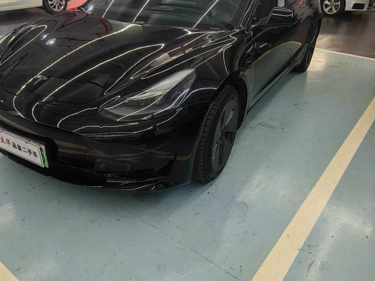 特斯拉 Model 3  2019款 標(biāo)準(zhǔn)續(xù)航后驅(qū)升級(jí)版圖片