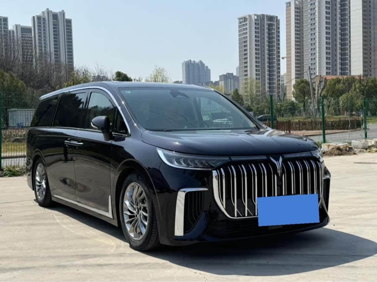 嵐圖 夢想家  2024款 PHEV 超長續(xù)航尊貴版圖片