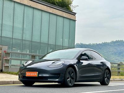 2021年7月 特斯拉 Model 3 標(biāo)準(zhǔn)續(xù)航后驅(qū)升級版 3D6圖片