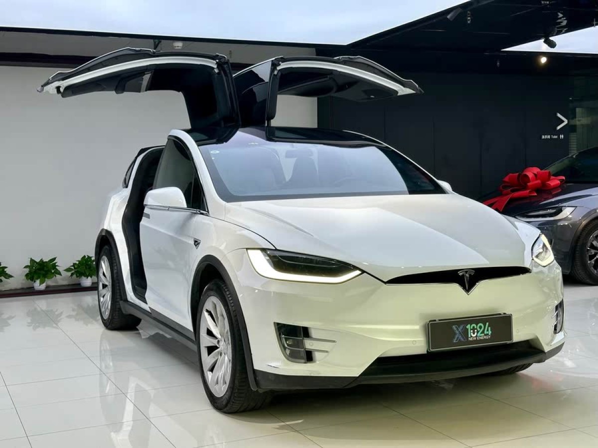 特斯拉 Model X  2017款 Model X 100D 長續(xù)航版圖片