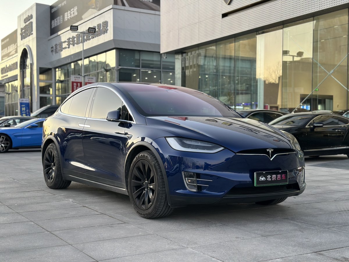 特斯拉 Model X  2017款 Model X 100D 長續(xù)航版圖片