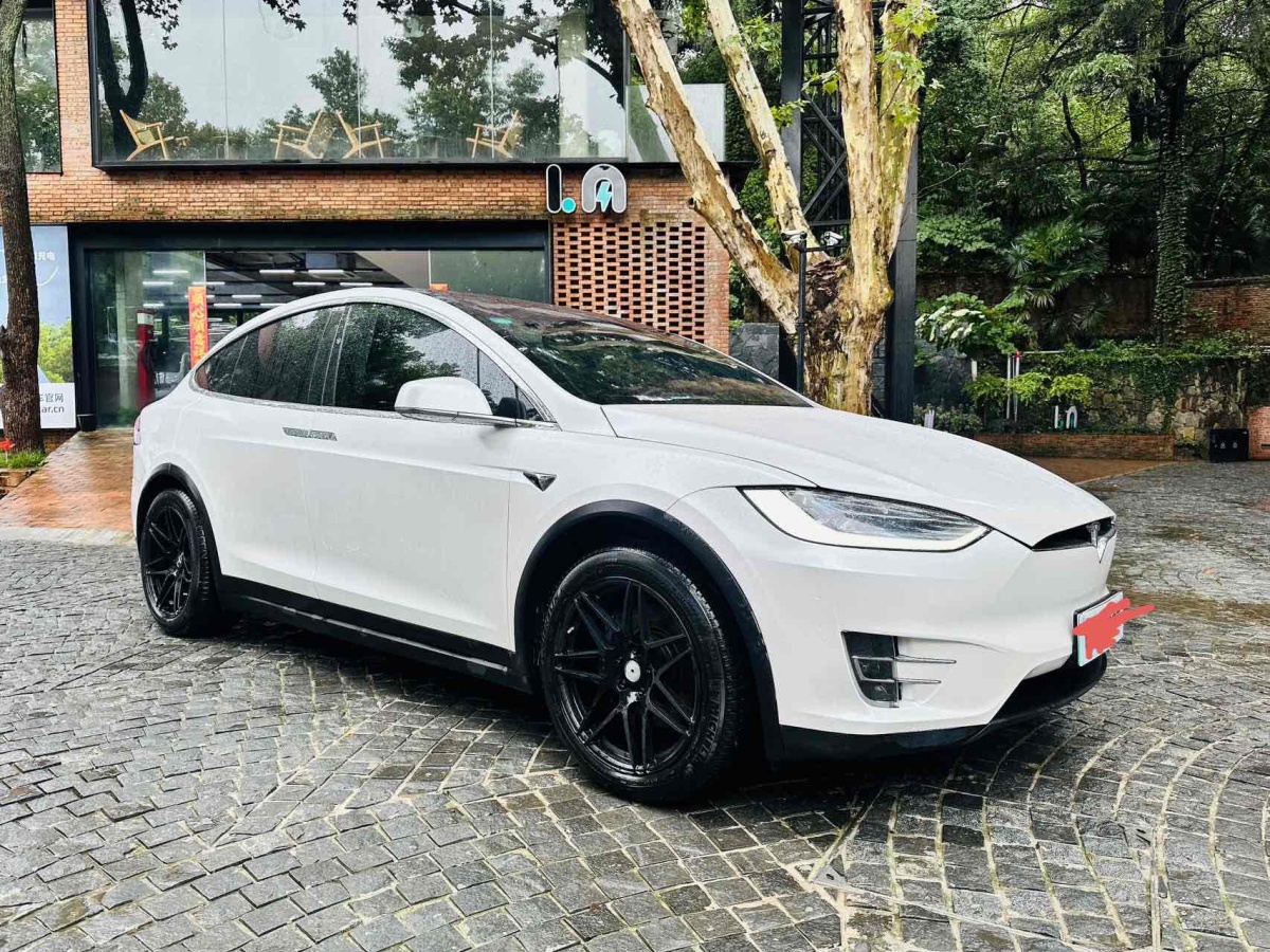 2019年7月特斯拉 Model X  2019款 長(zhǎng)續(xù)航版