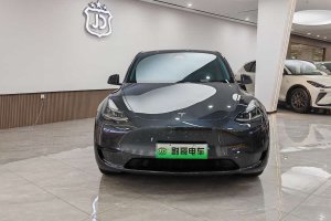 Model Y 特斯拉 后輪驅(qū)動(dòng)版
