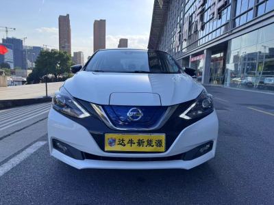 2020年8月 日產(chǎn) 軒逸?純電 智尊版圖片