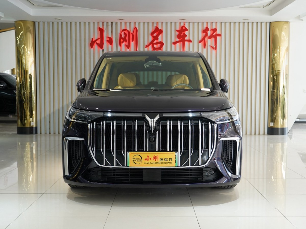 嵐圖 夢想家  2024款 PHEV 超長續(xù)航旗艦版圖片