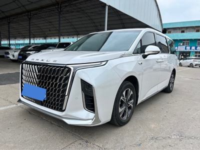 2022年7月 上汽大通 上汽大通MAXUS G90 2.0T 星云七座版图片