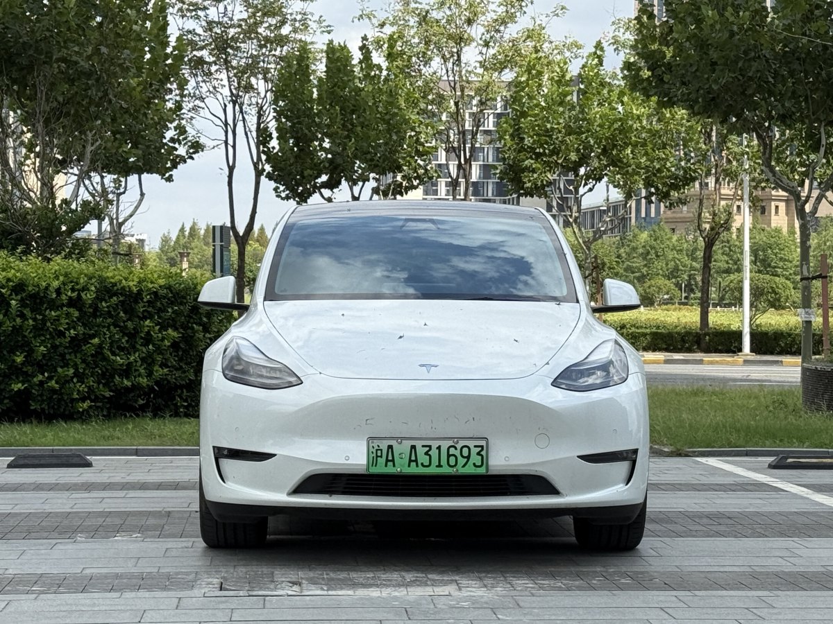 特斯拉 Model Y  2021款 改款 Performance高性能全輪驅(qū)動(dòng)版圖片