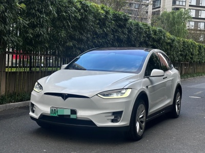 2019年4月 特斯拉 Model X Model X 100D 長續(xù)航版圖片