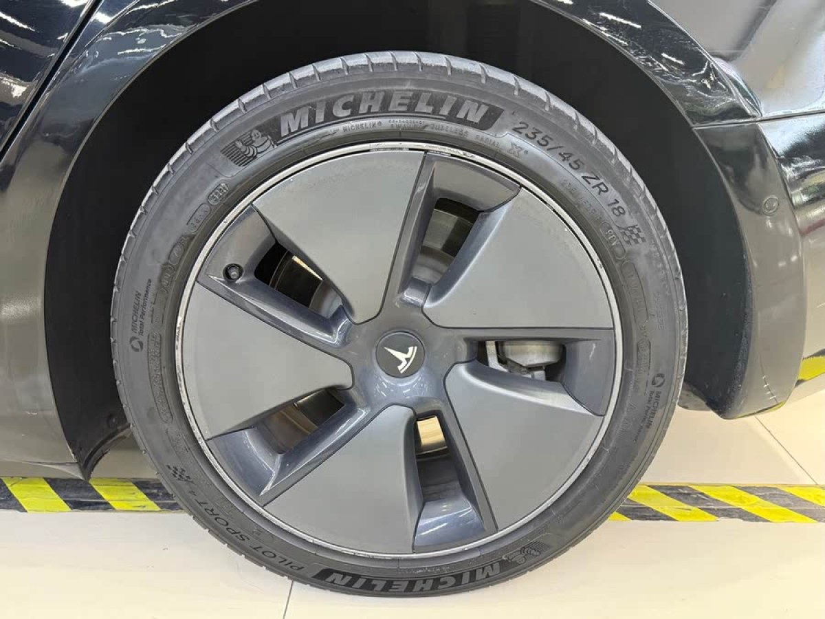 特斯拉 Model 3  2021款 標(biāo)準(zhǔn)續(xù)航后驅(qū)升級版 3D6圖片
