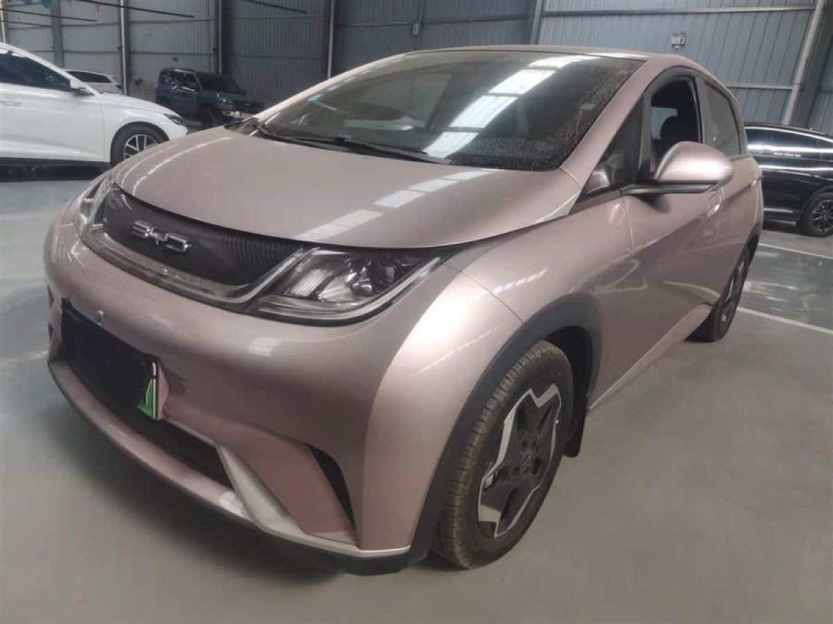 比亞迪 海豚  2021款 405km 時(shí)尚版圖片