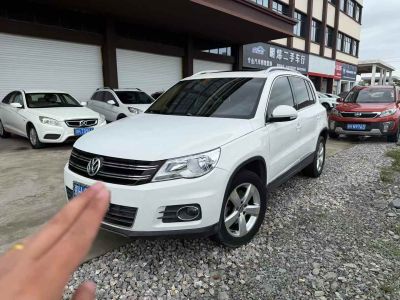 2012年1月 大眾 途歡(進(jìn)口) 2.0 TDI 舒適版圖片