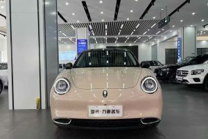 歐拉好貓 歐拉 401km標準續(xù)航 尊榮型 磷酸鐵鋰