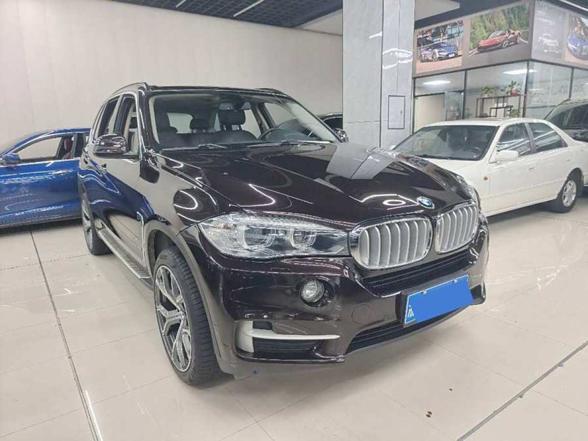 寶馬 寶馬X5  2014款 xDrive35i 領(lǐng)先型圖片