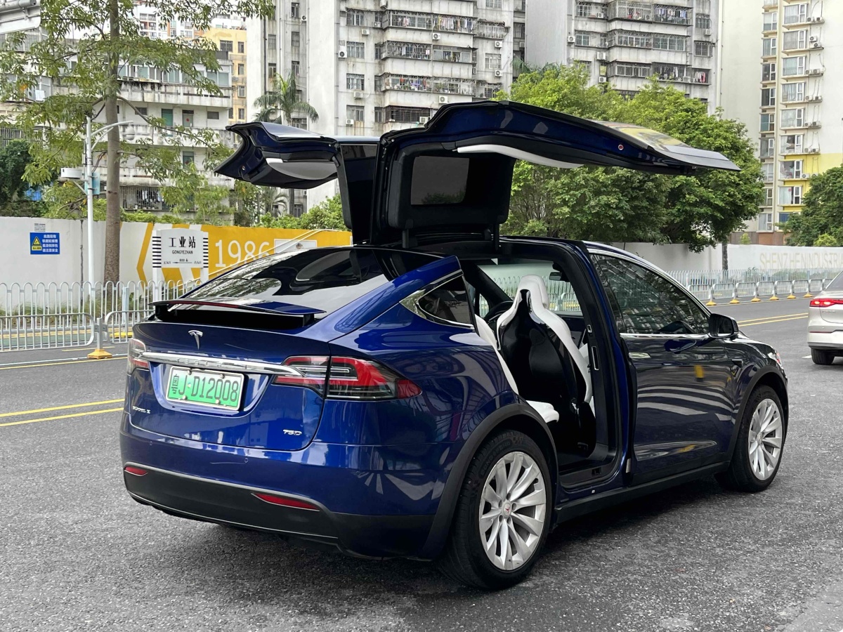 特斯拉 Model X  2016款 Model X 75D圖片