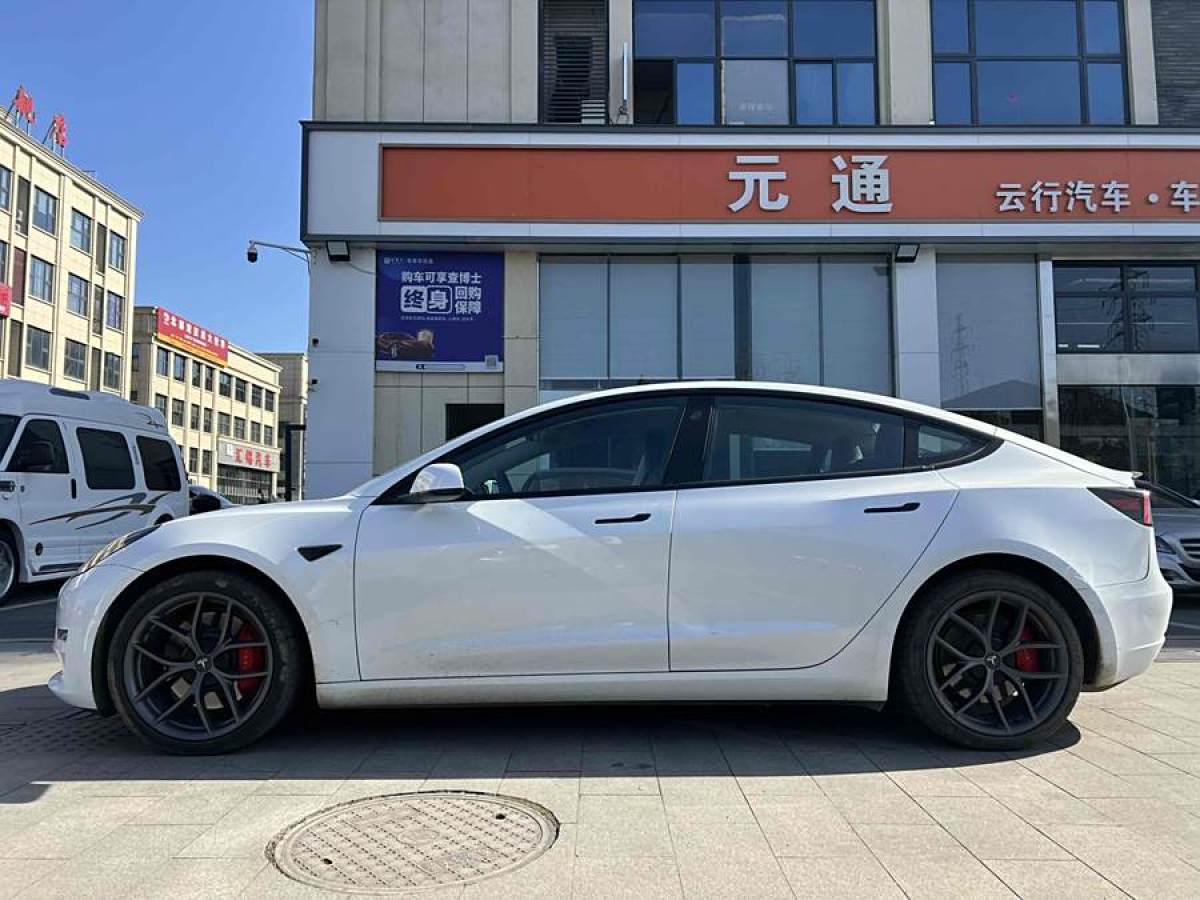 特斯拉 Model Y  2022款 Performance高性能全輪驅(qū)動版圖片