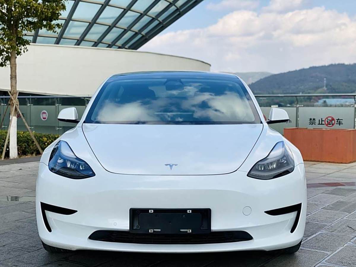 特斯拉 Model 3  2021款 改款 標(biāo)準(zhǔn)續(xù)航后驅(qū)升級版圖片