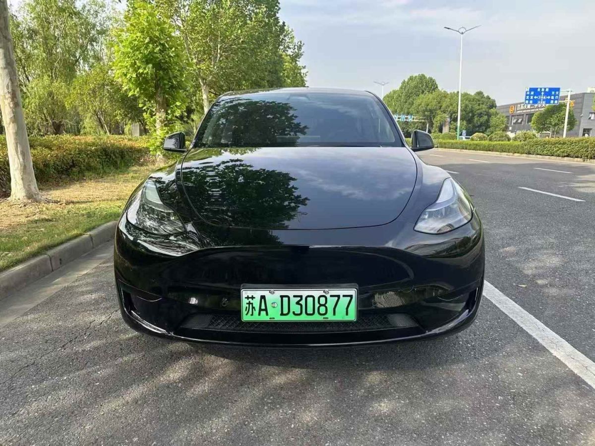 特斯拉 Model Y  2022款 Performance高性能全輪驅(qū)動版圖片