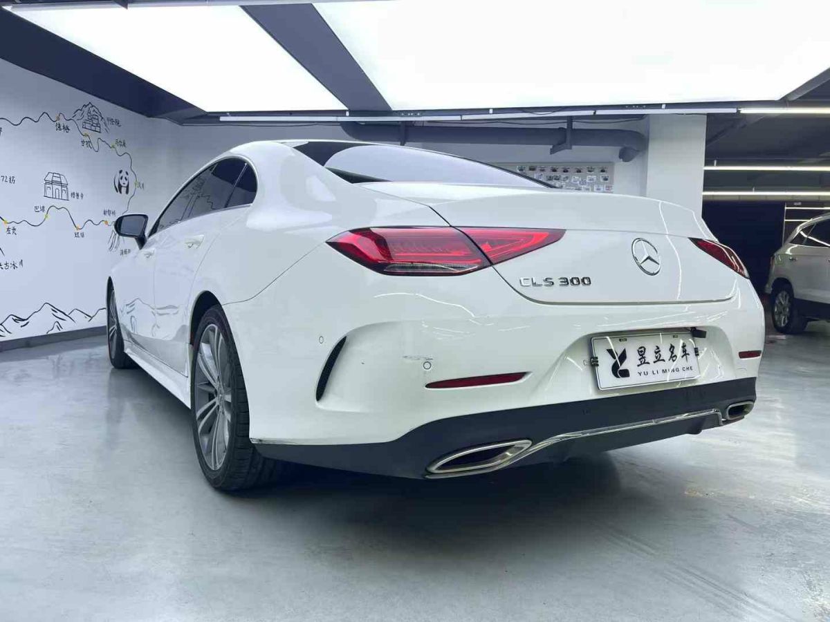 奔馳 奔馳CLS級  2021款 CLS 260圖片