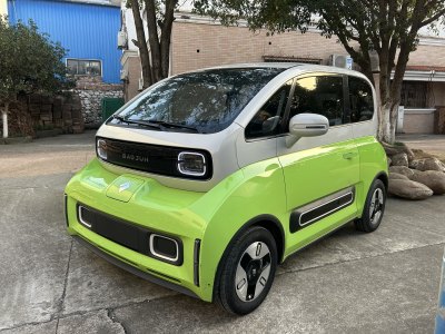 2022年6月 寶駿 寶駿KiWi EV 藝術(shù)家輕享版 三元鋰圖片