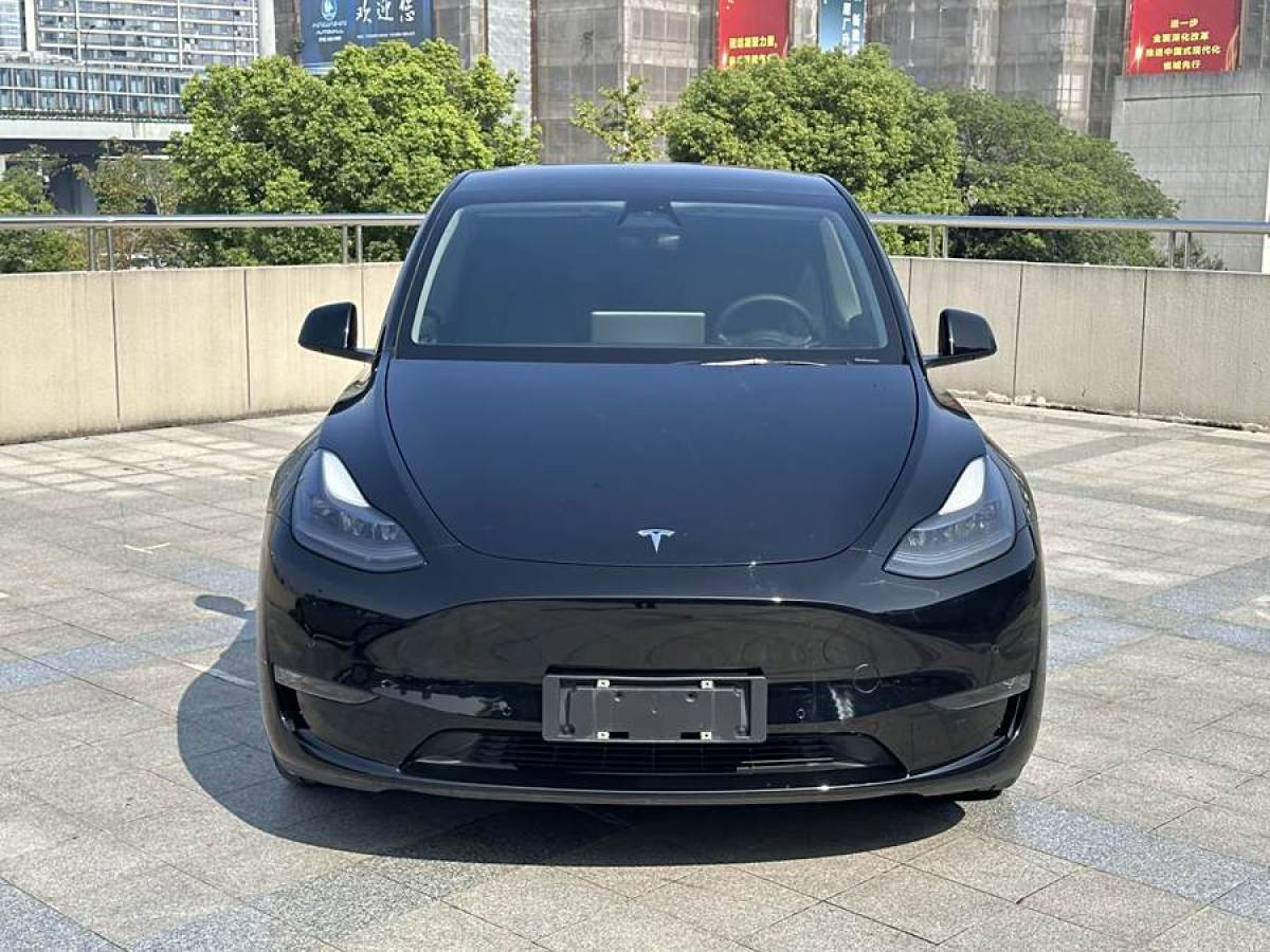 特斯拉 Model Y  2021款 長(zhǎng)續(xù)航全輪驅(qū)動(dòng)版 3D7圖片