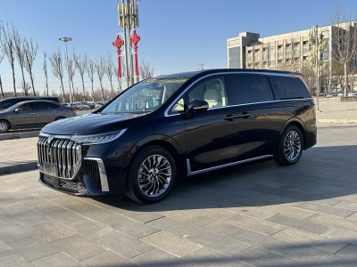 2023年10月 嵐圖 夢想家 PHEV 超長續(xù)航旗艦版圖片