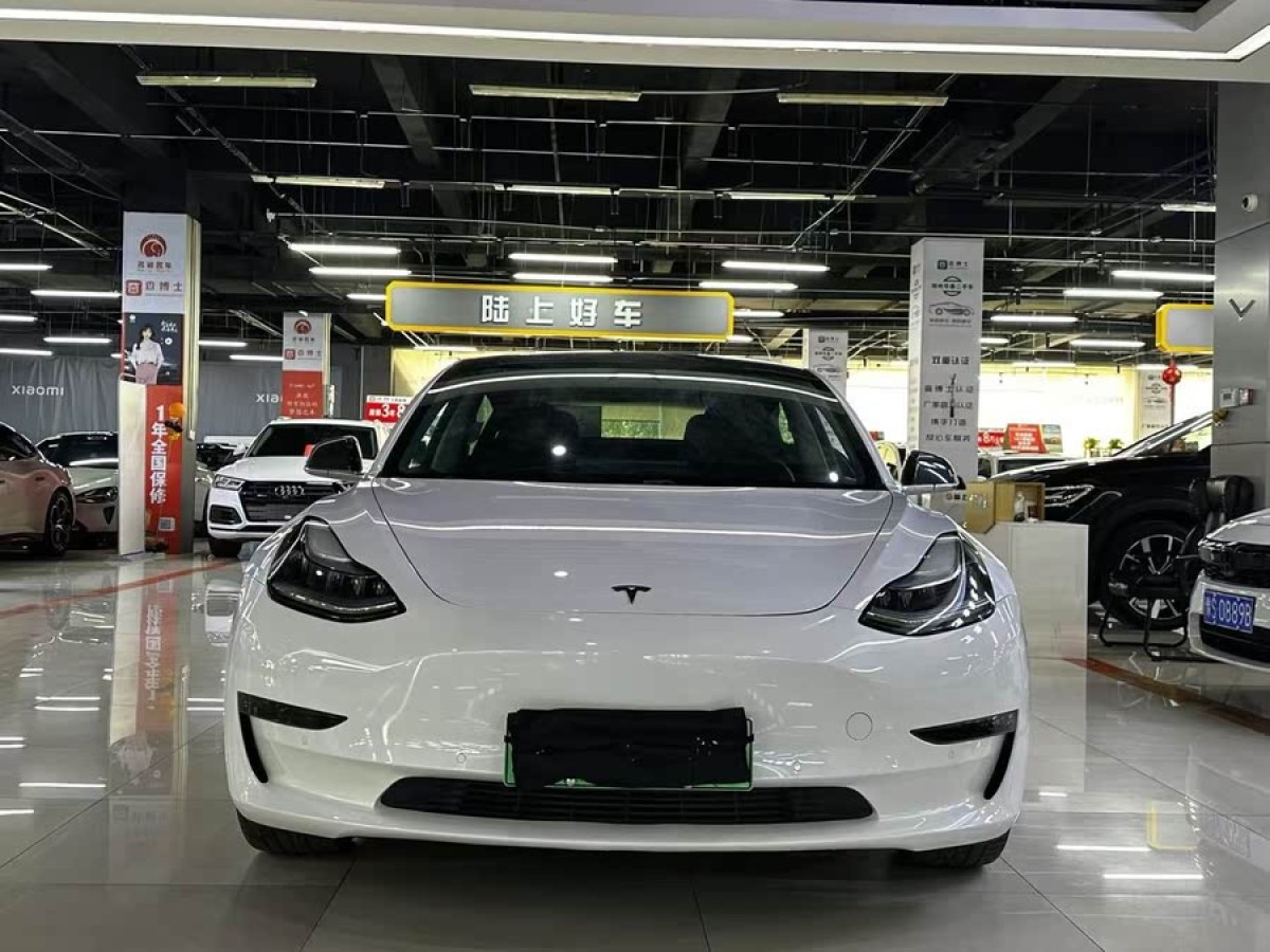 特斯拉 Model 3  2019款 長續(xù)航后驅(qū)版圖片