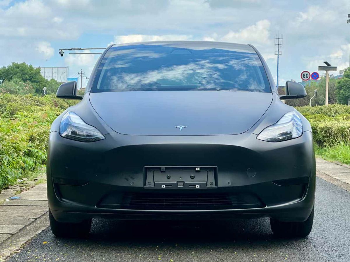 特斯拉 Model Y  2022款 Performance高性能全輪驅(qū)動版圖片