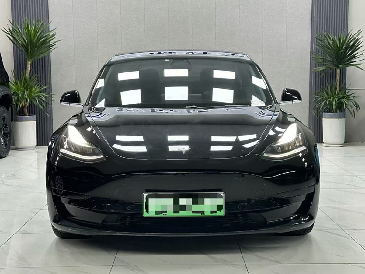 特斯拉 Model 3  2020款 改款 標(biāo)準(zhǔn)續(xù)航后驅(qū)升級(jí)版圖片