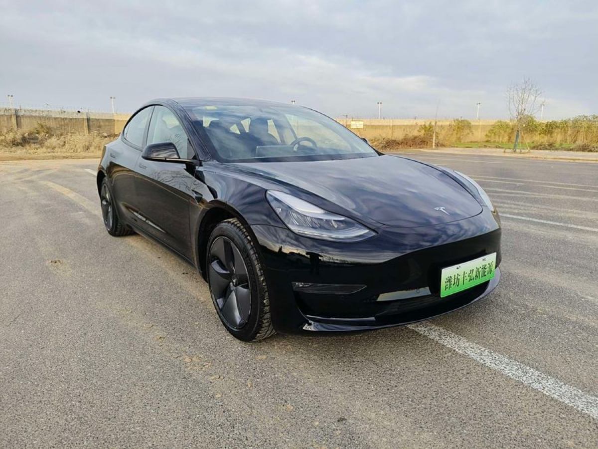 特斯拉 Model 3  2019款 長續(xù)航后驅版圖片