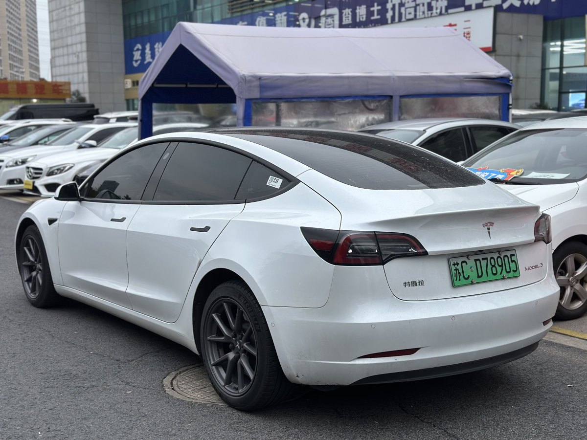 特斯拉 Model 3  2019款 標(biāo)準(zhǔn)續(xù)航后驅(qū)升級(jí)版圖片