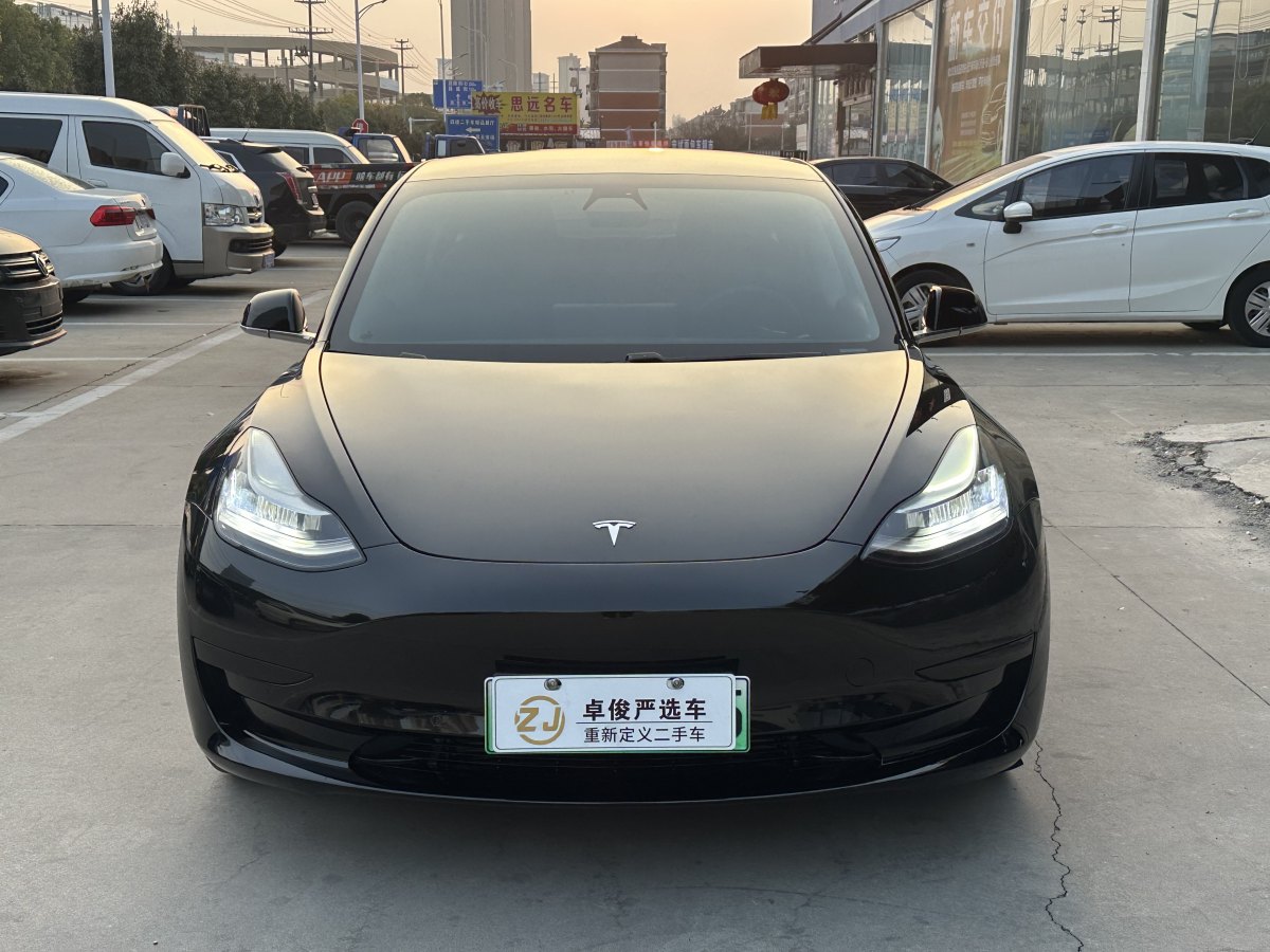 特斯拉 Model 3  2019款 標(biāo)準(zhǔn)續(xù)航后驅(qū)升級版圖片