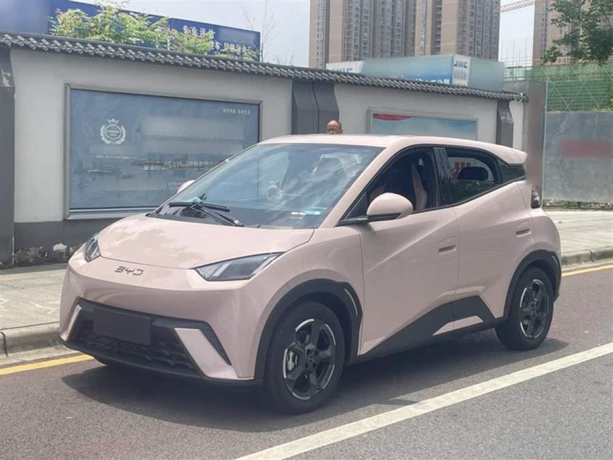 比亞迪 海鷗  2024款 榮耀版 305km 自由版圖片