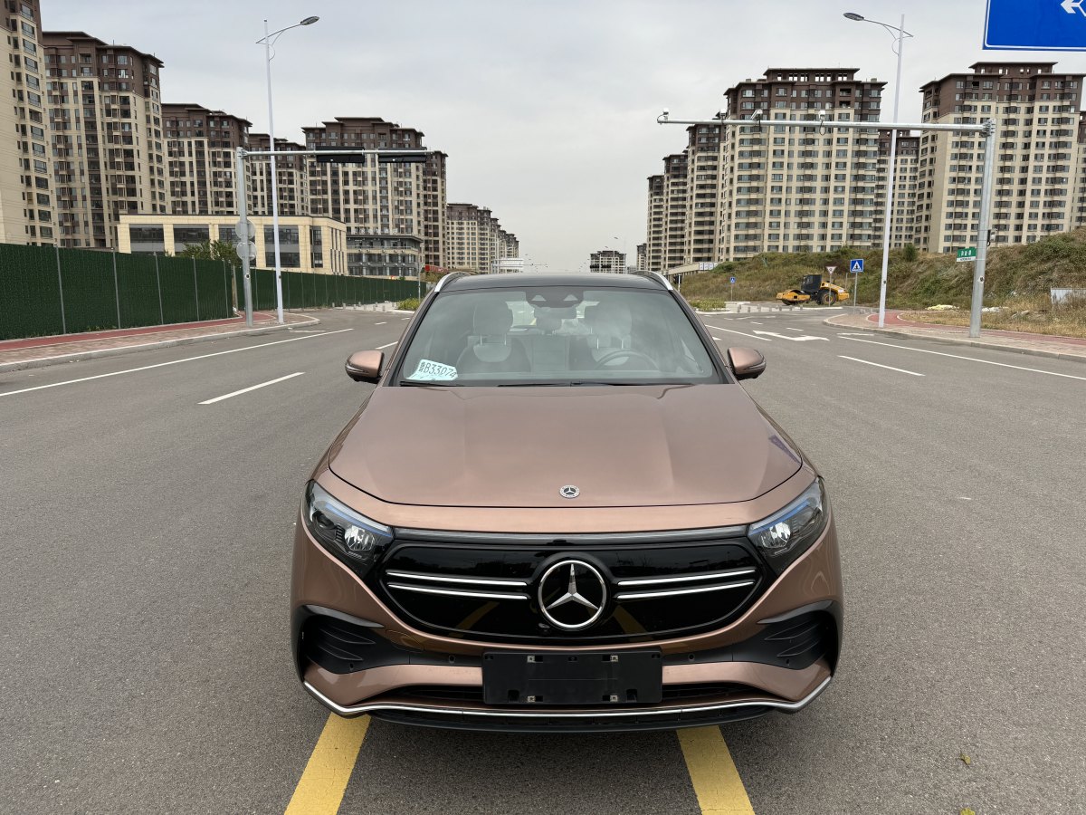 2022年1月奔馳 奔馳EQA  2022款 EQA 300 4MATIC 首發(fā)特別版