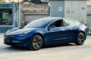 Model 3 特斯拉 改款 標準續(xù)航后驅(qū)升級版