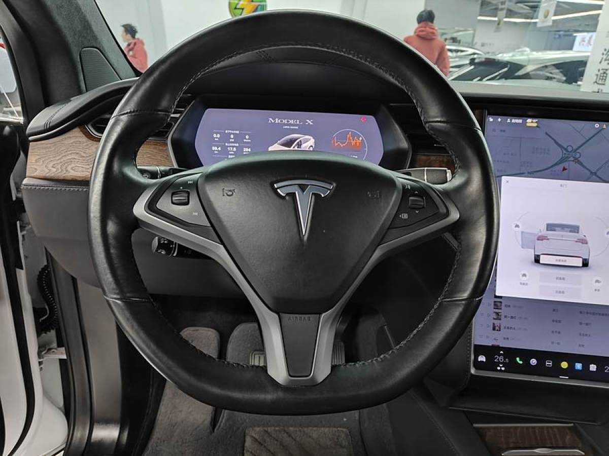 特斯拉 Model X  2019款 長續(xù)航版圖片