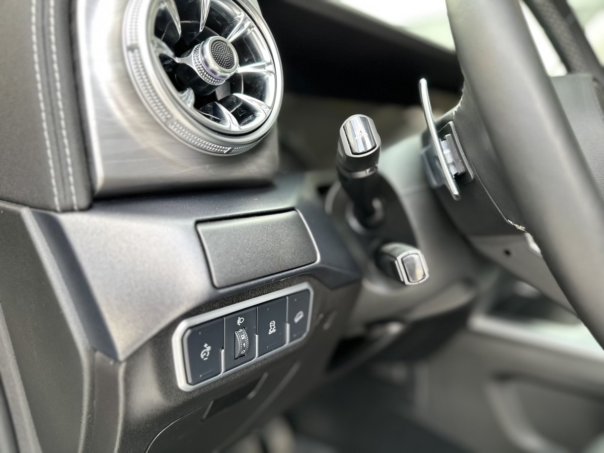 坦克 坦克300  2021款 城市版 2.0T 很有型圖片