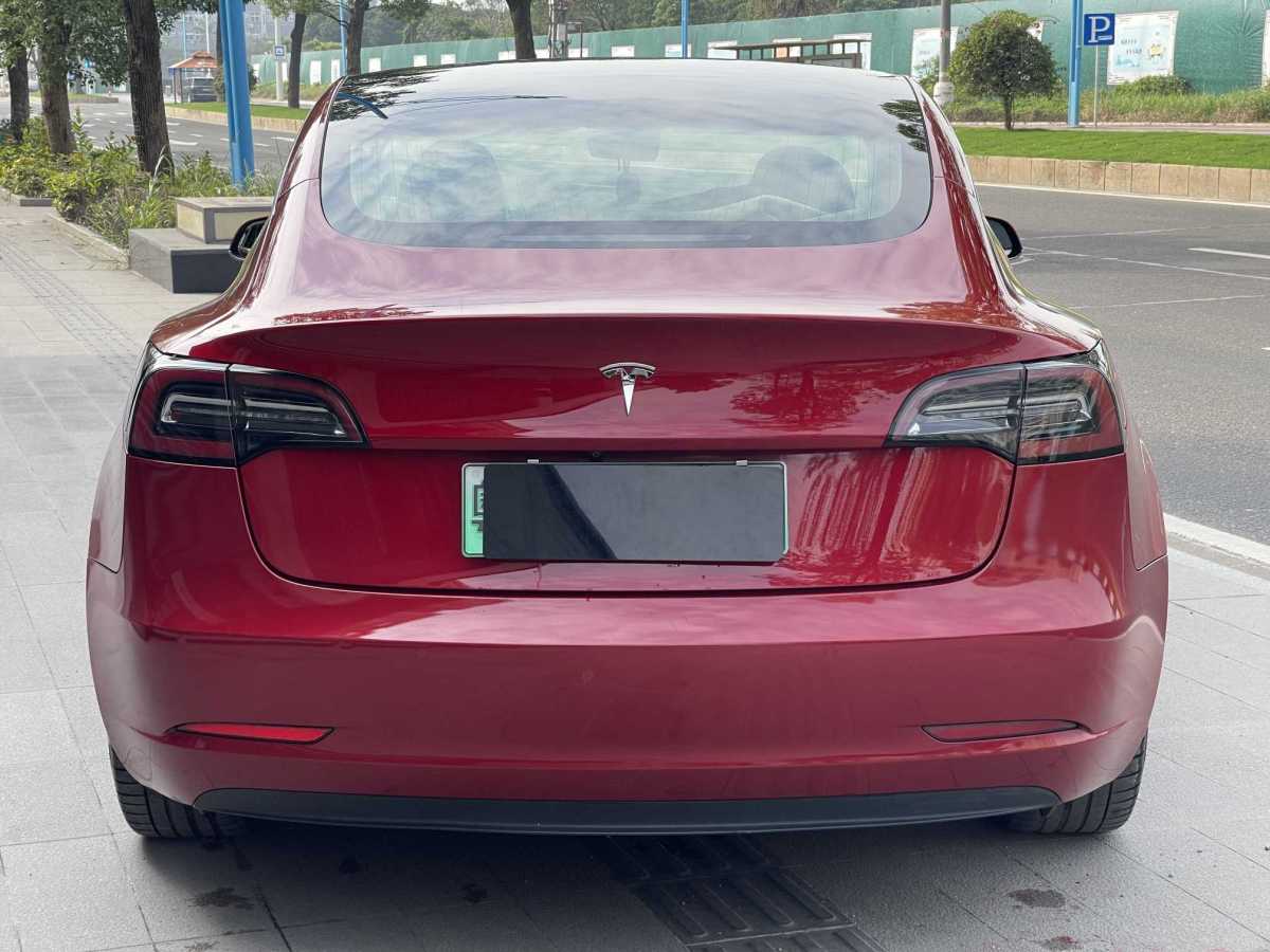 特斯拉 Model 3  2019款 長(zhǎng)續(xù)航后驅(qū)版圖片