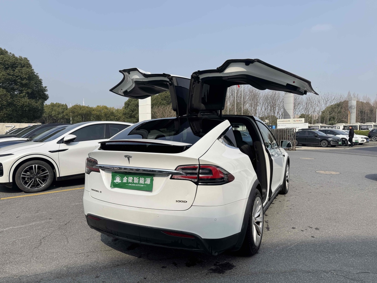 2019年4月特斯拉 Model X  2017款 Model X 100D 長(zhǎng)續(xù)航版